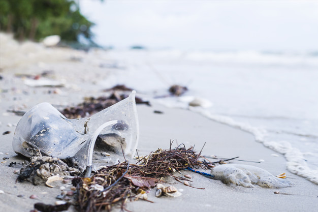 Mar De Plástico: Entre El 60 Y 80% De La Basura De Los Oceános Son Plásticos